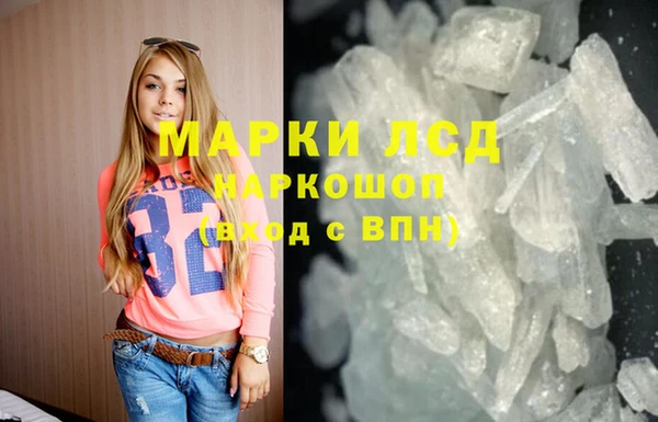 гидра Абаза