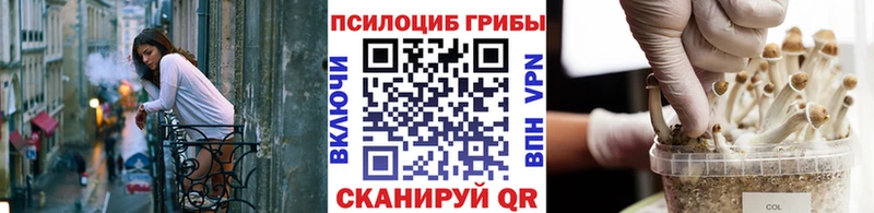 Галлюциногенные грибы мицелий  где можно купить наркотик  Новотитаровская 
